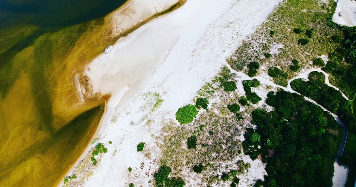 The Cannabis Beverage Boom: Why THC Drinks Are Disrupting the Alcohol Market