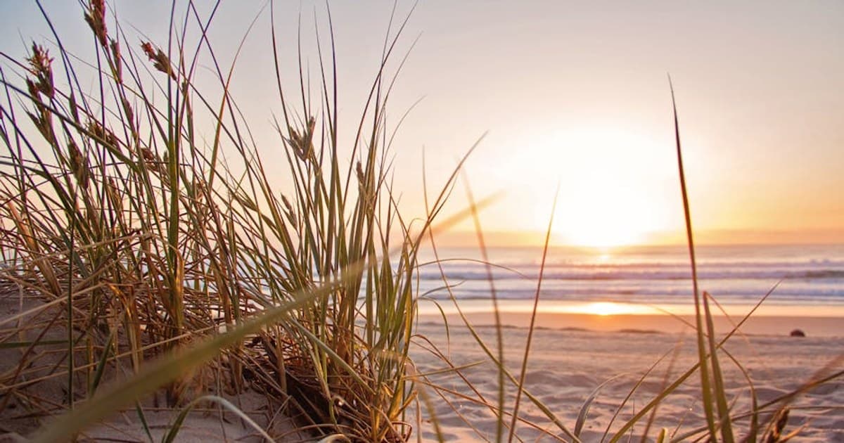 Peaceful beach scene with sand dunes and grass at sunset, reflective sea in background.