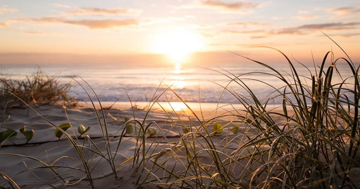 A tranquil sunrise over Gold Coast Beach, QLD, Australia with soft sand and coastal grasses.