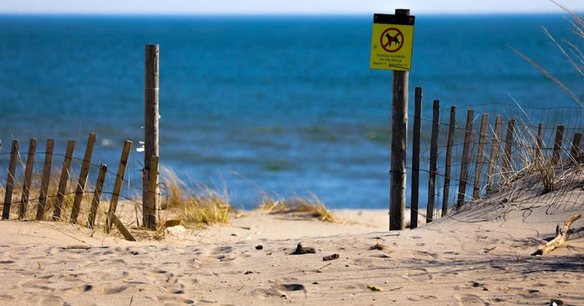 Serene beach scene with a sandy path leading to the ocean, framed by wooden posts and a no dogs sign.