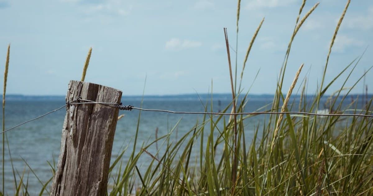 Serene seascape with grassy dunes by the Baltic Sea in Neustadt, Germany.