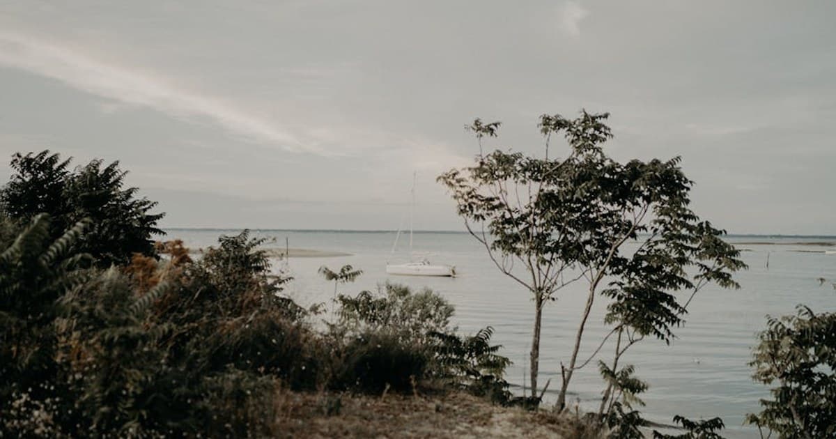 Serene view of a sailboat on a calm sea surrounded by lush greenery.