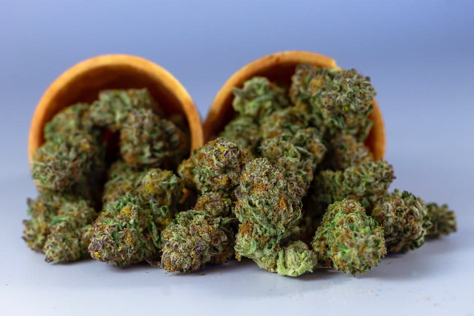 Detailed close-up of cannabis buds spilling from a wooden container, highlighting texture and color.