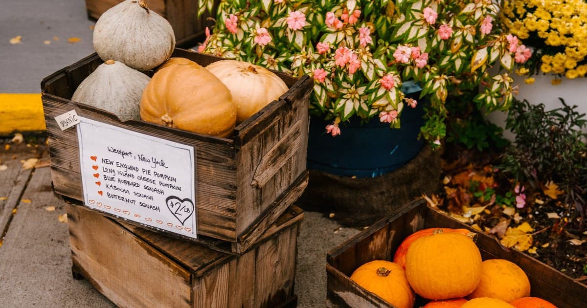 From above of wooden containers full of harvested pumpkins placed near blooming flowers growing in flowerbeds at local market