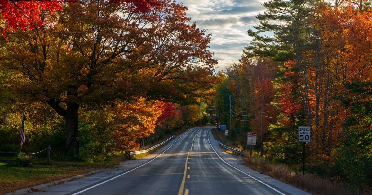 Empty road surrounded by vibrant fall foliage, perfect for autumn travel and scenic drives.