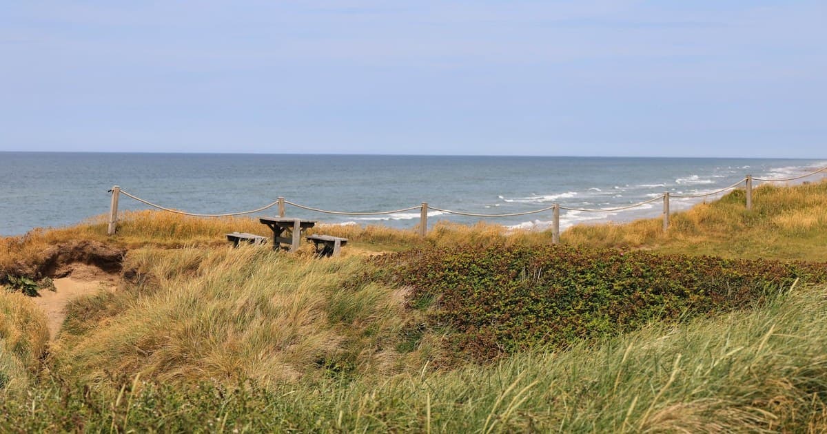 Relaxing seaside view of a grassy landscape with a picnic bench in Denmark.
