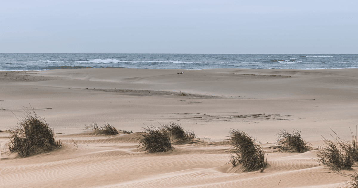 A peaceful view of sand dunes leading to a calm ocean under a cloudy sky.